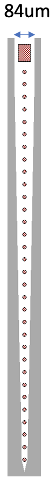 M1, M2 Rigid Probes