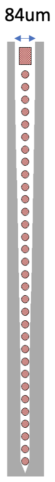 M1, M2 Rigid Probes